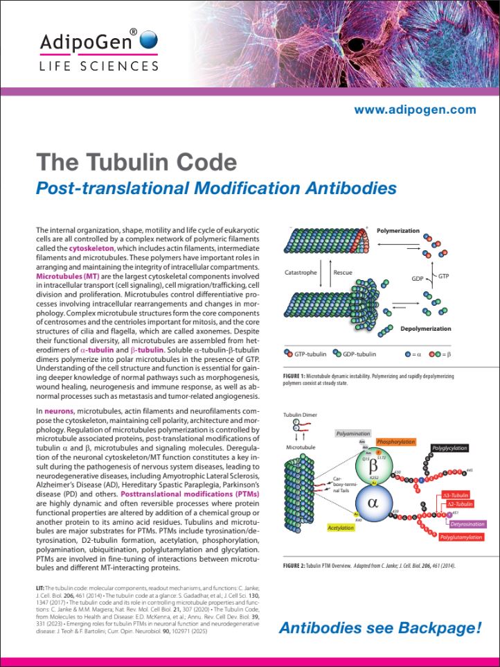 Tubulin_Code_Flyer_Icon_2025.jpg