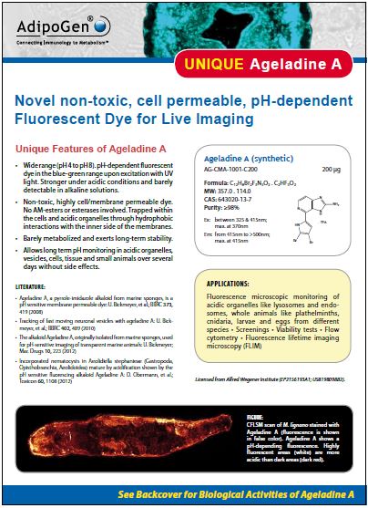 Ageladine A Product Flyer