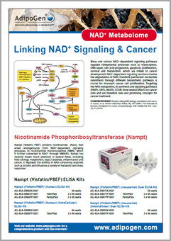 NAD Metabolome Flyer