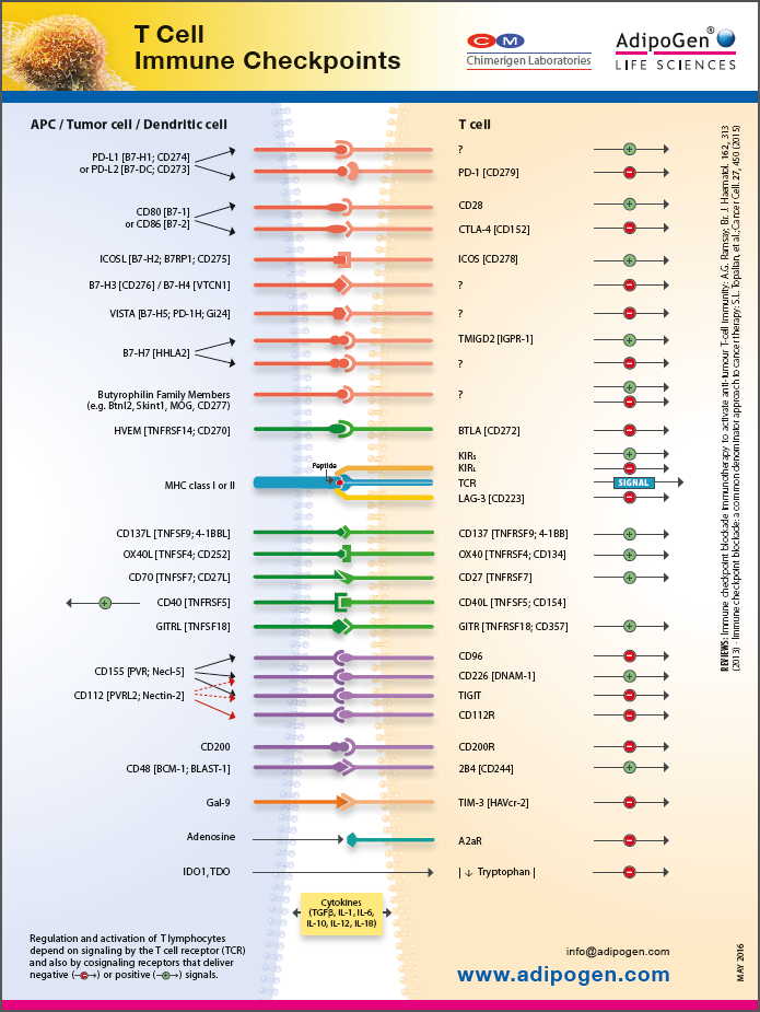 T Cell Immune Checkpoint Wallchart 2016