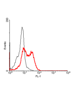 FACS: Human CD137L-transfected HEK 293 cells were stained significantly using anti-CD137L (human), mAb (41B436) (Prod. No. AG-20A-0031). No binding was detected on empty vector transfected cells.