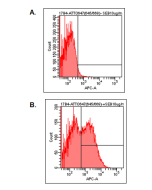 Detection of endogenous human LAG-3 by FACS analysis using anti-LAG-3 (human), mAb (17B4) (ATTO 647) (Prod. No. AG-20B-0012TS).<br />
Human PBMC were stimulated (B) or not (A) with 1&mu;g/ml of superantigen SEB. After 2 days PBMC were stained with 10&mu;g