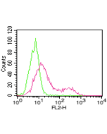 FACS: HepG2 cells were stained significantly using anti-ACE2 (human), mAb (AC18F) (Prod. No. AG-20A-0032).