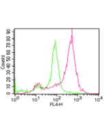 anti-ACE2 (human), mAb (AC18F) (ATTO 647N)