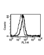 Detection of endogenous human BAFF using anti-BAFF (h) mAb (1-35-1)(AG-20B-0037).<br />
<b>Method:</b> Neutrophils (CD15+) were stained with BAFF (h), mAb (1-35-1) (thick line) or an isotype control (thin line) at 10&mu;g /ml each, revealed  with a second