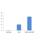 anti-BAFF (mouse), mAb (Sandy-2) (Prod. No. AG-20B-0063) blocks the action of endogenous BAFF <i>in vivo</i>.<br />  <b>Method:</b> Wild type C57BL/6 mice were treated at day 0 (single administration) with monoclonal antibody anti-BAFF (mouse), mAb (Sandy