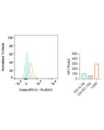 Detection of endogenous mouse Notch 1 or Notch 2 on resting and activated T cells with anti-Notch1 (mouse), mAb (22E5) (Prod. No. AG-20B-0051) and anti-Notch2, mAb (16F11) (Prod. No. AG-20B-0052), respectively. <b>Method:</b> CD4+ T cells from C57BL/6 mic