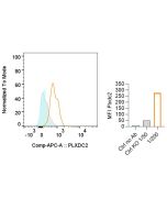 Detection of endogenous mouse PLXDC2 with anti-PLXDC2, mAb (Bonny-1) (ATTO 647N) (Prod. No. AG-20B-0086TS).<br /><b>Method:</b> 3x10^6 thymocytes from WT or Plxdc2 -/- mice are blocked with FcR Mouse Blocker for 10 min at RT, then stained with anti-PLXDC2