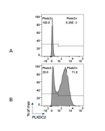 Detection of mouse PLXDC2 with anti-PLXDC2, mAb (Bonny-2) (Prod. No. AG-20B-0089).<br/><b>Method:</b> 3x10^6 C1498 lymphoblasts (A) or transduced with mouse PLXDC2 (B) are blocked with FcR Mouse Blocker for 10 min at RT, then stained with anti-PLXDC2, mAb