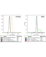 anti-VEGFR-2 (human), mAb (3(4H3))