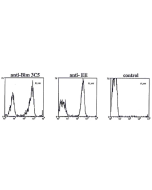 Flow cytometry data in permeabilized and fixed transfected cells using anti-Bim, mAb (3C5) (Prod. No. AG-20T-0142), anti-EE (positive control) or secondary antibody alone (negative control). Staining was visualised by FITC-conjugated goat anti-rat or anti