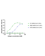 anti-SARS-CoV-2 Spike Protein S1 (NTD), mAb (rec.) (AB72-1-H10)