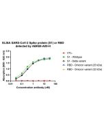 anti-SARS-CoV-2 Spike Protein S1 (RBD), mAb (rec.) (AB68-A09) (Fc Human)