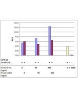 GITRL, Soluble (mouse) (rec.) (Prod. No. AG-40A-0008) induced GITR-mediated NF-&kappa;B activation. <br /> HEK293 cells were transiently transfected with 20ng of a (NF-&kappa;B)-Luc reporter, 2ng of a Renilla luciferase, and with 20ng of a GITR full lengt