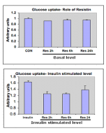 Effect of Resistin (human) (rec.) (AG-40A-0010Y) on glucose uptake in L6 cells.  Inhibition of insulin-stimulated glucose uptake in L6 skeletal muscle cells by resistin (as expected: 1μg/ml). Rat myoblasts (L6) were cultured and differentiated into myotub