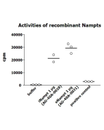Measurement of NAMPT enzymatic activity was performed as described previously [G.C. Elliott, et al.; Anal Biochem 107, 199 (1980)]. The recombinant Nampt was diluted in assay buffer and 10&mu;l per 50&mu;l reaction mix were applied in the reaction mix (20