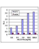 Activation of a human ST2-dependent NF-&kappa;B pathway.<br /> HEK-293 cells were transiently co-transfected with 500 ng of human ST2-containing vector (or empty vector as a negative control), a vector containing NF-&kappa;B-driven firefly luciferase, and