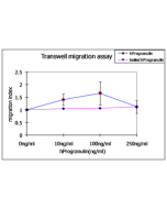 Progranulin (human) (rec.) 