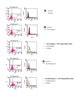 <strong>Flow cytometric analysis of CRT on the cell surface</strong> <div>3.10<sup>5</sup> EL4 Thymoma cells, growing in suspension in RPMI 1640 (Gibco) supplemented medium were plated in 12-well plates and treated with mitomycin C (30mM, Sanofi Aventis) 