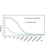 Progranulin (human) (rec.) (untagged) (Prod. No. AG-40A-0188Y) binds to the recombinant human receptor Sortillin much stronger than the Flag-tagged version of Progranulin (Prod. No. AG-40A-0068Y).<br /><b>Method:</b> Sortilin (human) (rec.) (His) (Prod. N