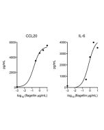 Flagellin (AG-40B-0025) activates TLR5 in vivo.<br /> <b>Method:</b> Mice WT are injected i.v. with indicated doses of Flagellin (Prod. No. AG-40B-0025). After 2 hours, levels of CCL20 and IL-6 in the serum were measured by ELISA. As a control, mice TLR5 