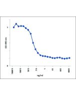Coomassie blue staining of BAFF, Soluble (human) (60-mer) (AG-40B-0112) under reducing conditions (shows the size of the monomer).