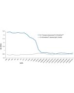 Protein structure of IL-7 (human) (monomer):Fc InVivoKine™ (Prod. No. AG-40B-0238).
