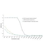 GDF15 (mouse):Fc (silent) InVivoKine™ (AG-40B-0245) binds with high affinity to its receptor GFRAL (mouse). <b>Method:</b> GFRAL (mouse) is coated on an ELISA plate at 500 ng/ml overnight at room temperature. GDF15 (mouse):Fc (silent) InVivoKine™, a class