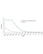 Protein structure of IL-23 (mouse):Fc (silent) InVivoKine™ (Prod. No. AG-40B-0248) containing a single heterodimer.