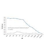 Protein structure of IFN-&gamma; (mouse):Fc (silent) InVivoKine™ (Prod. No. AG-40B-0283).