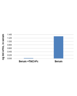Specific quantitation of APRIL in human serum.<br />
<b>Method:</b> Serum from a healthy patient is treated with TACI (human):Fc (human) (Prod. No. AG-40B-0079) coupled to NHS-Sepharose (or EDAR-Fc beads as control). APRIL levels were measured using the 