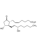 Prostaglandin E<sub>2</sub>