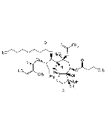 Thapsigargin (high purity)