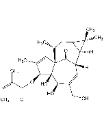 Ingenol-3-angelate