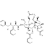 Paclitaxel