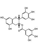 (-)-Epigallocatechin gallate