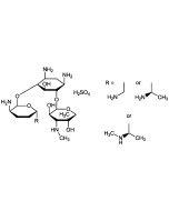 Gentamicin sulfate (USP Grade)