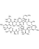 Cyclosporin A