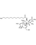 4&alpha;-Phorbol 12-myristate 13-acetate