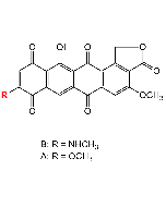 Paramagnetoquinone A/B