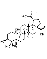 Betulinic acid (>99%)