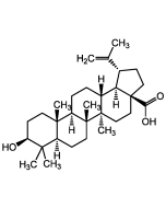 Betulinic acid (>97%)