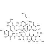 Cyclosporin D