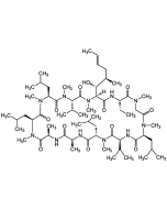 Cyclosporin H