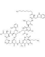 Daptomycin