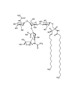 Ganglioside GM2 . sodium salt