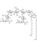 Ganglioside GD1a . disodium salt