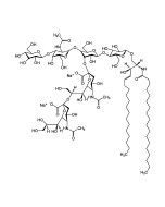 Ganglioside GD1b . disodium salt