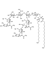 Ganglioside GT1b . trisodium salt