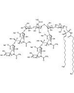 Ganglioside GQ1b . tetrasodium salt (bovine brain)